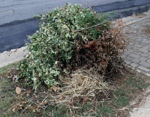 Yard Waste Cleanup Services - Norfolk’s Best Junk & Waste Removal