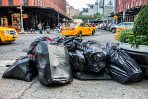 Beach Trash Pickup in Norfolk VA | Finest Junk & Waste Removal Services