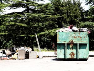 How to Properly Dispose of Bulk Items | Norfolk’s Best Junk & Waste Removal